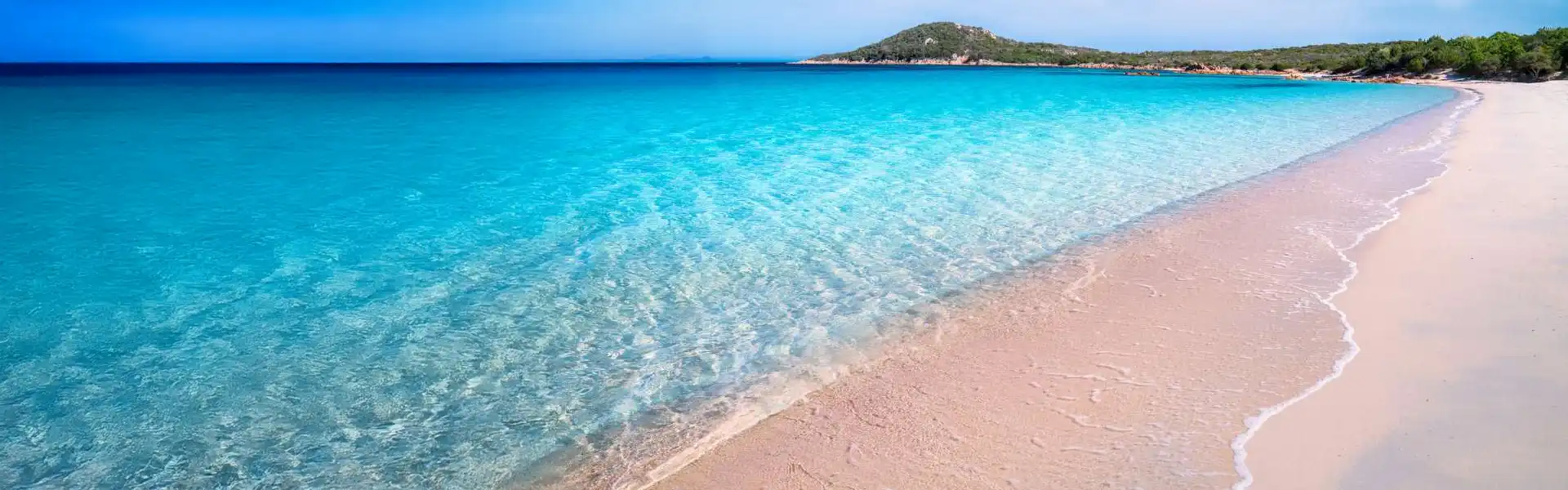 Now you can find the best fares