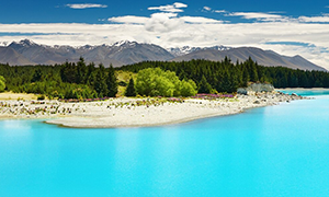Images of New Zealand