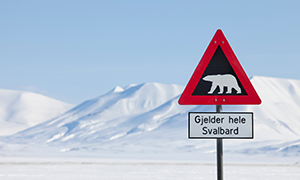 Images of Svalbard