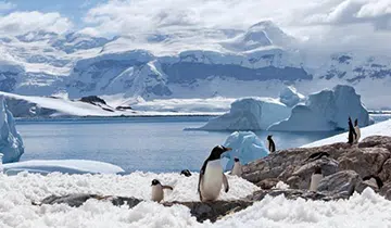 Antarctic